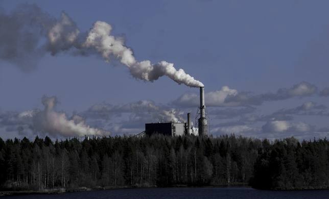 Protege tu cabello de la contaminación con la menta acuática