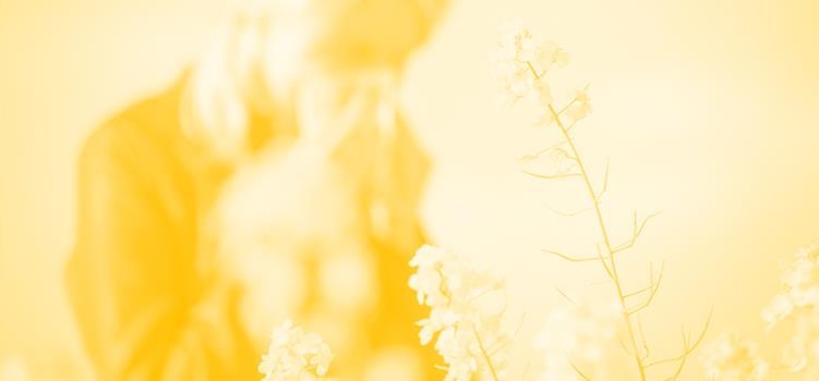 Como evitar la alergia primaveral