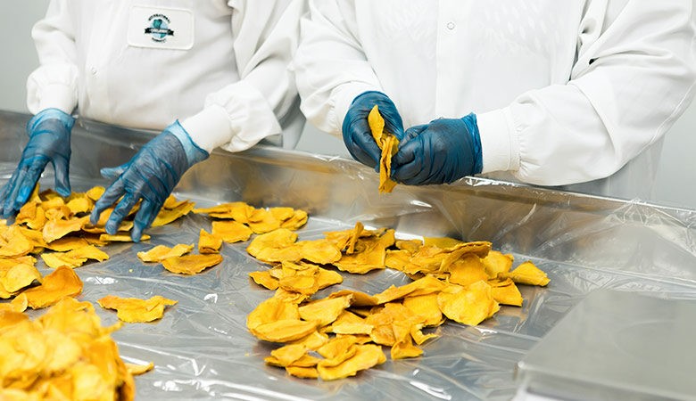 Higiene y seguridad alimentaria. 2015