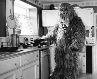 ¿Cómo evitar la caída del cabello? Nutrición y cabello